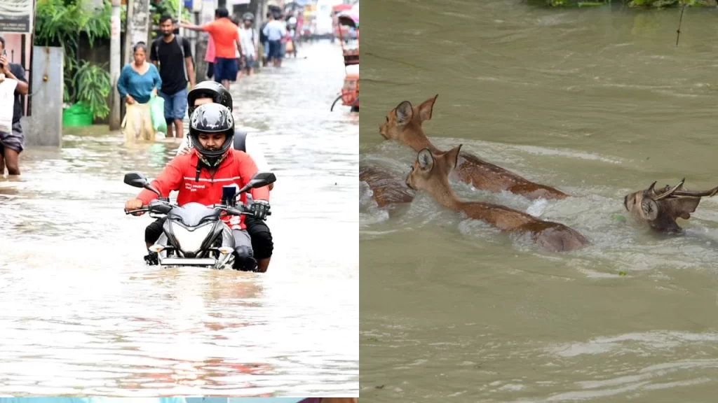 assam floods